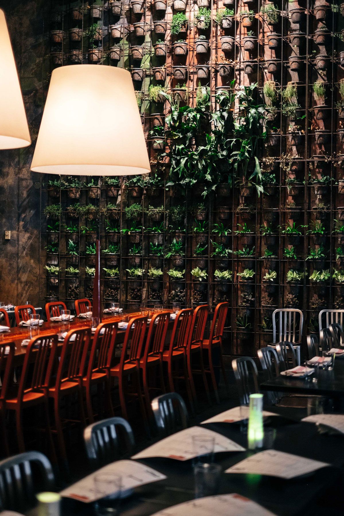 Vertical living plant wall with red chairs along long dining table
